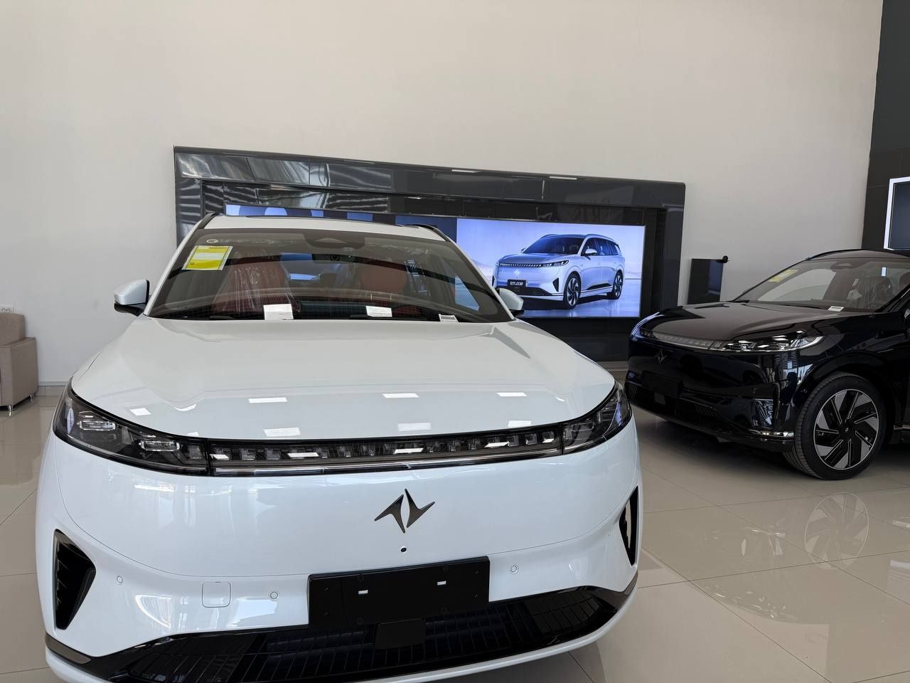Dongfeng 008max2025