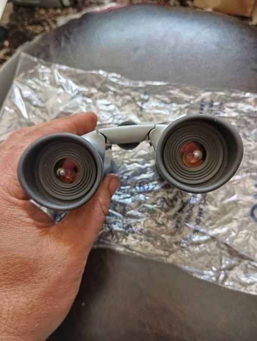 Binoclu steiner bluhorizons 10x26