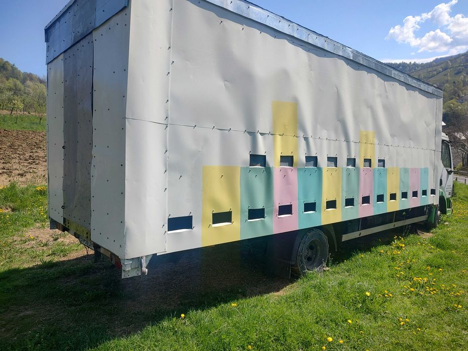 Vând camion apicol DAF,7.5 tone,omologat