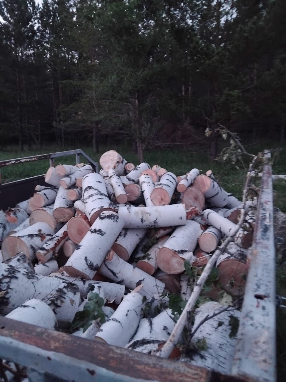 Перевозка Газель
