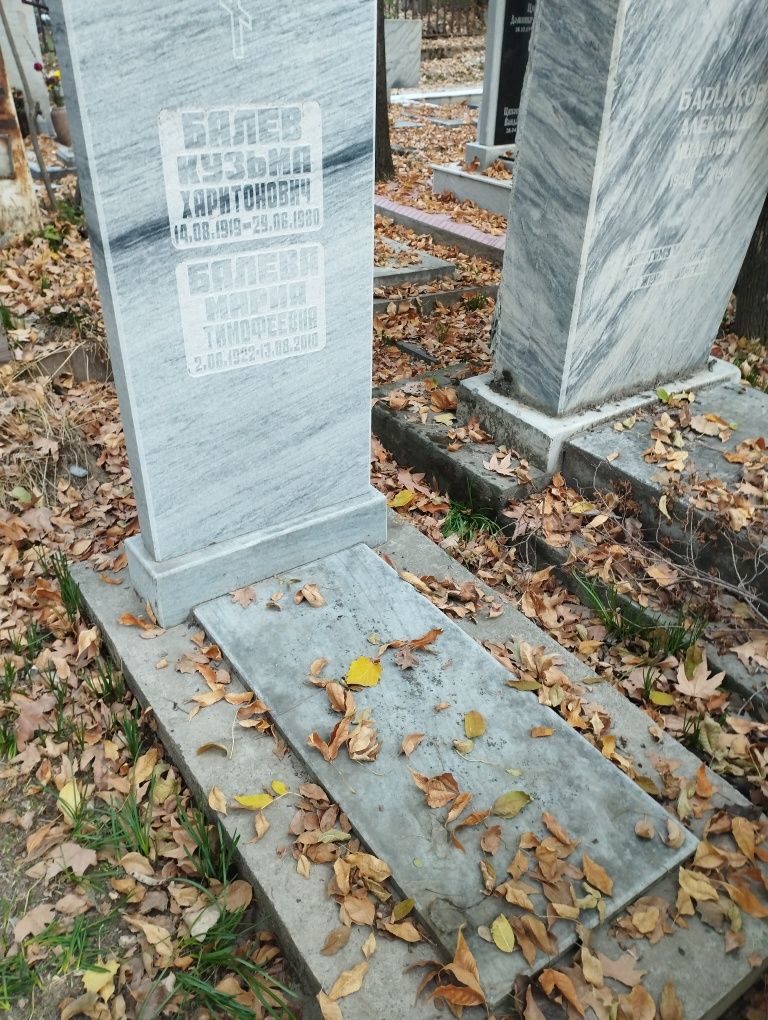 Уборка могил , покраска оградки на кладбище "Боткино". Качественно .