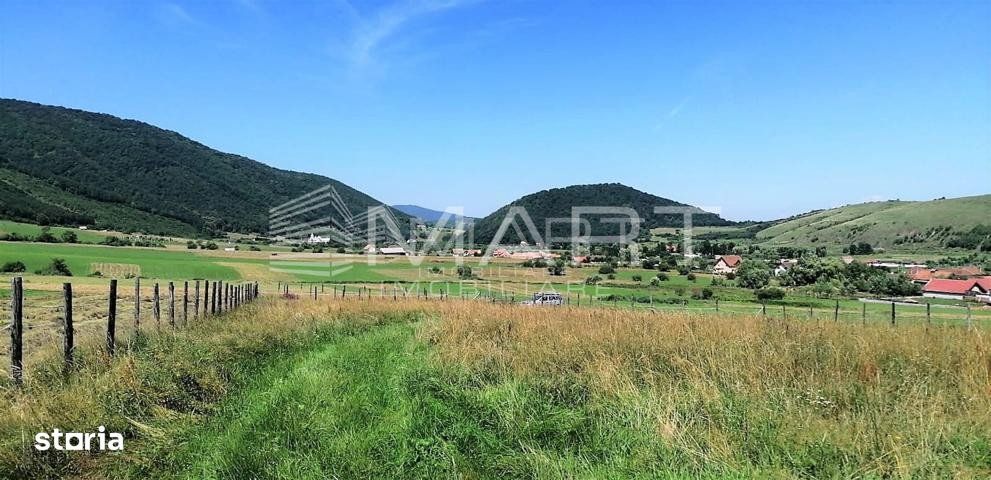 Teren  extravilan 2500 mp in Orlat