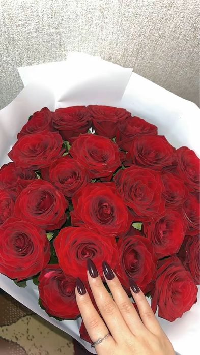 Цветы роза 25 штук