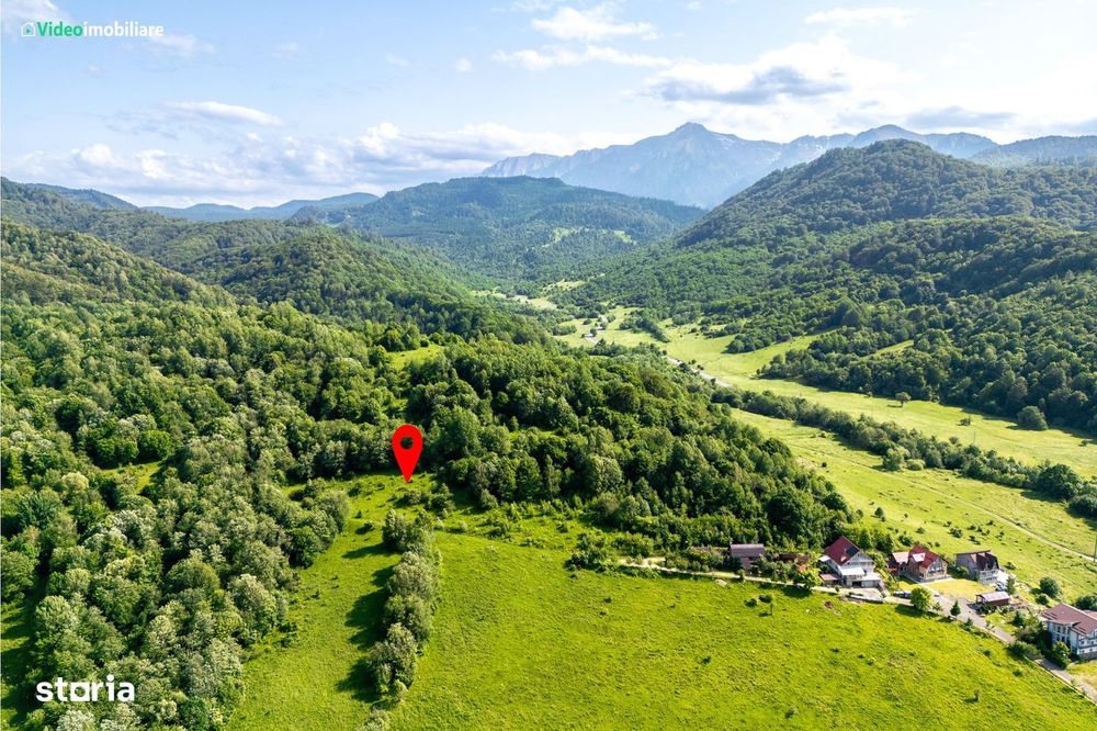 Teren cu vedere spre Cheile Rasnoavei, 8800 mp, la marginea pădurii