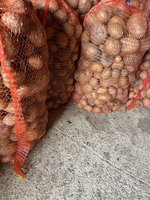 Cartofi pentru animale