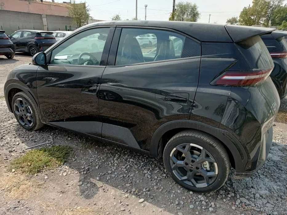 BYD Seagull yillik 16% bilan muddatli to'lovga