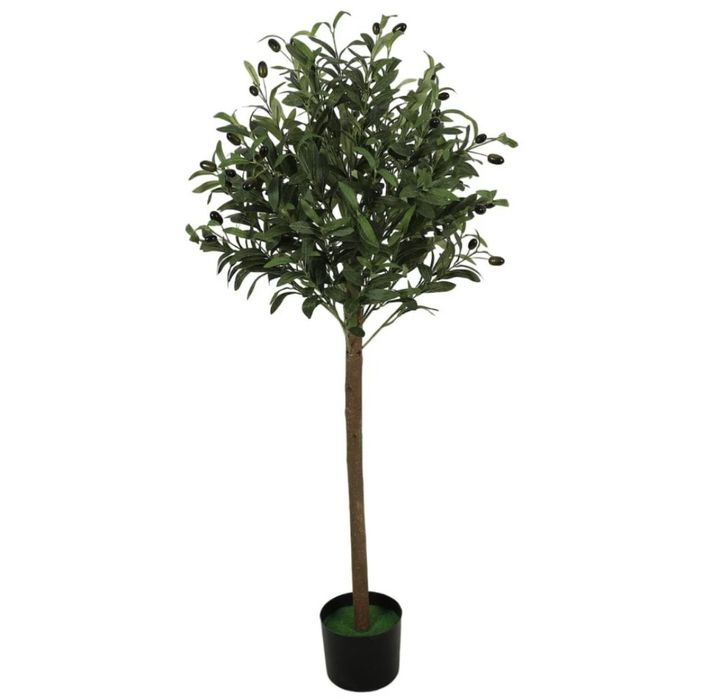 Pom decorativ maslin cu ghiveci inclus model NOU aspect realist