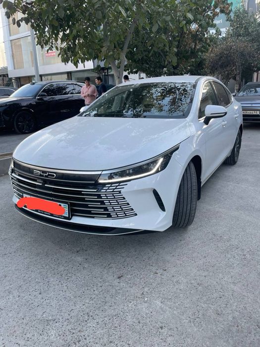 Byd chazor kraskasi tozza