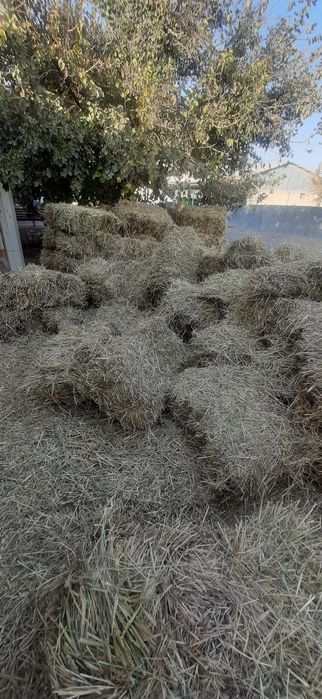 Бугдой пресс сотилади