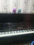 Pionina musical anjomi