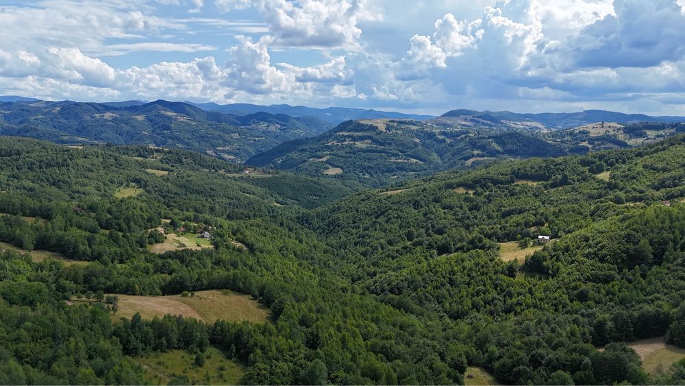 vand teren la munte Bulz Munteni 10.5 hectare