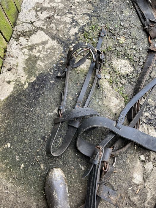 Vand ham cu toate accesoriile