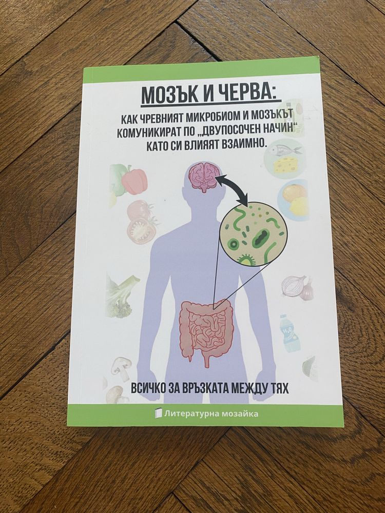 Мозък и Черва: Всичко за връзката между тях.