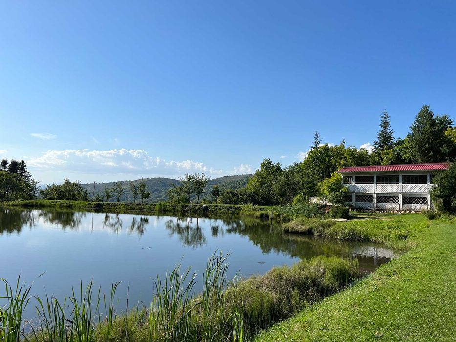 Cabana Tăul Brazi | Roșia Montană - Crăciun și Revelion 2025-2026