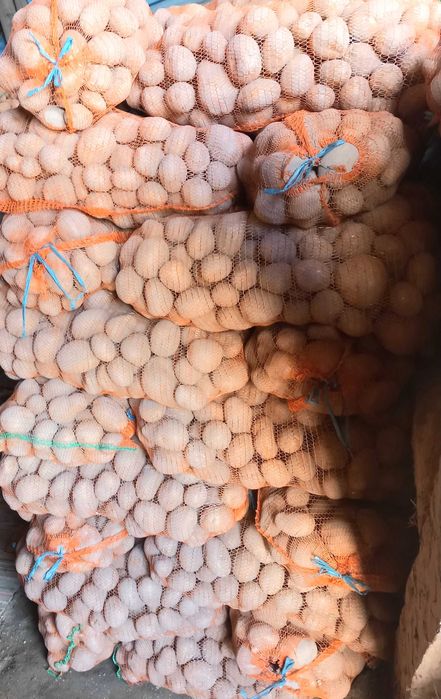 Cartofi paradiso 55+