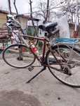 Velosiped gazelli
