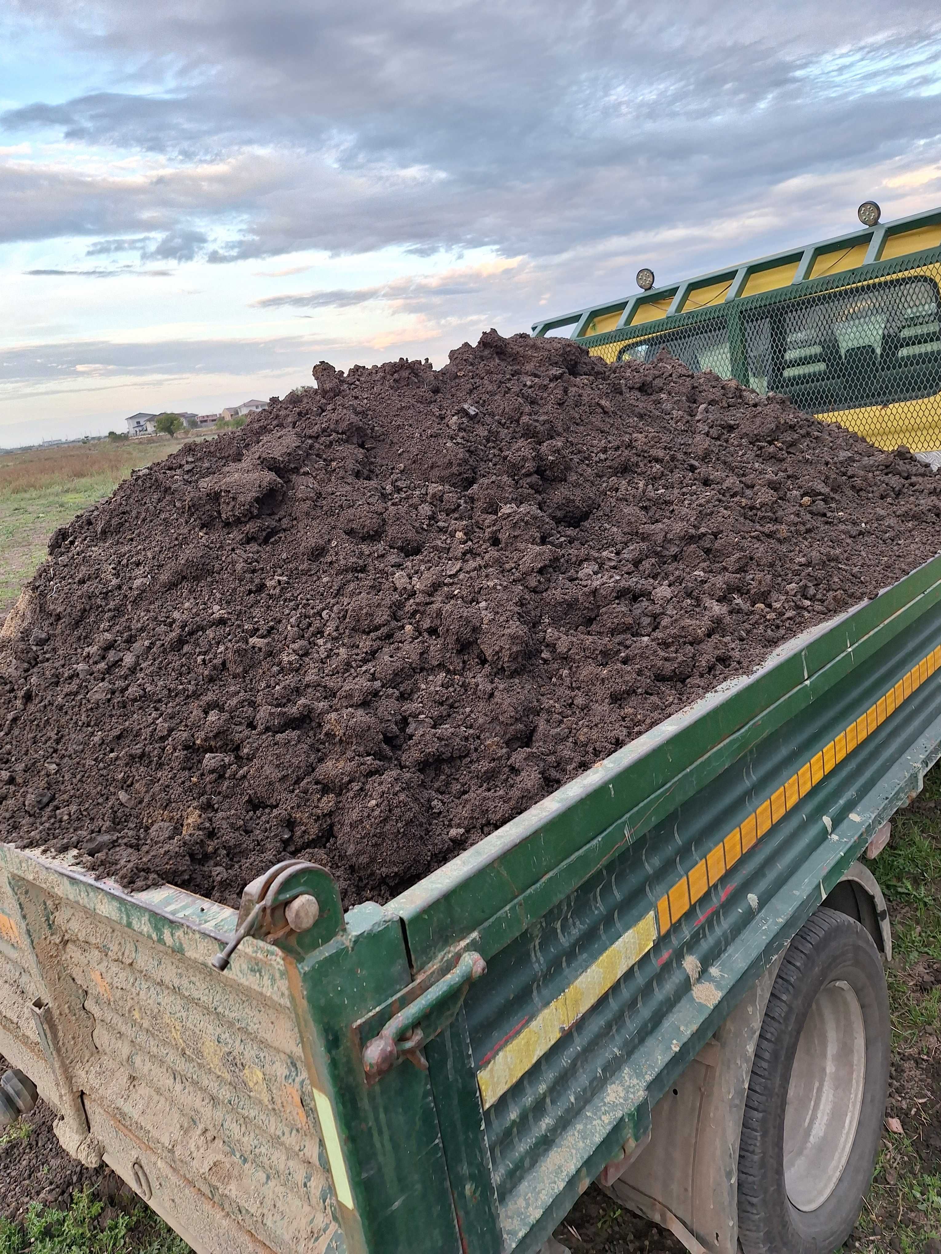 Compost Pamant galben nisipos Pământ negru vegetal