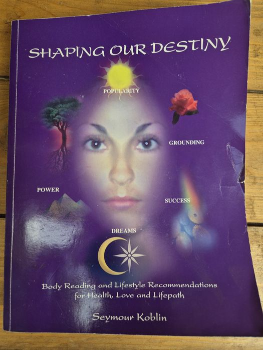 Shaping our destiny de Seymour Koblin