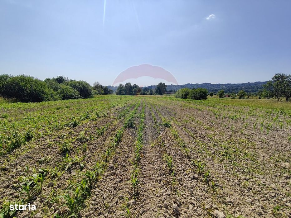 DE VÂNZARE – Teren intravilan Șișești, Maramureș (0% comision)