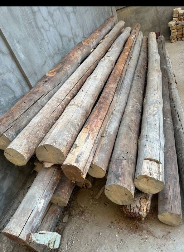 Tosin bor uzligi 380sm