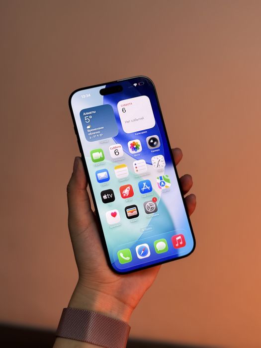 iPhone 16 Pro Max — 256 GB