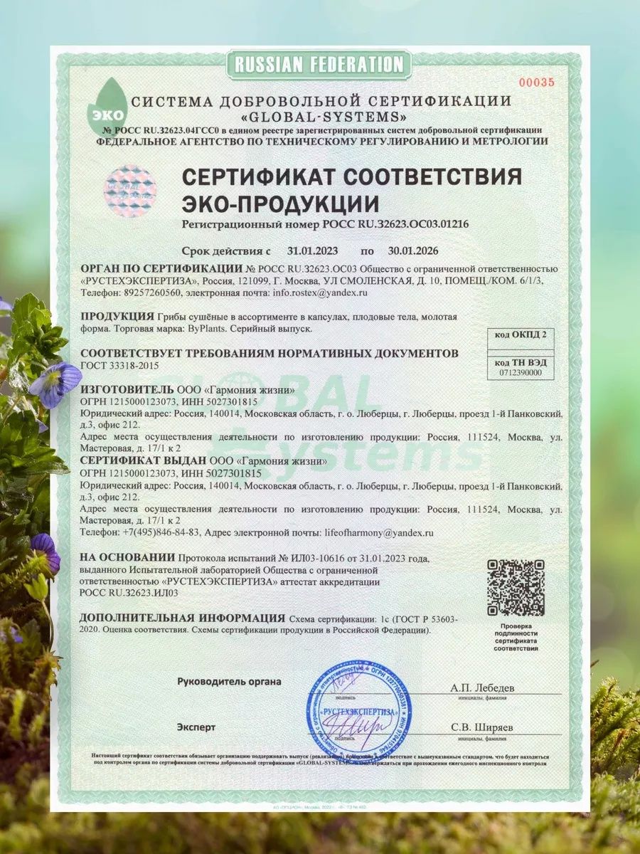 Lion's mane, он же Ежевик ежовик Гребечатый - 50% мицелий 50 плоды