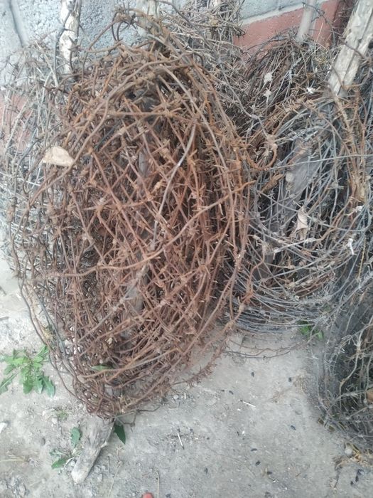 Tikanli simlar 900 metr 550 ming soʻm