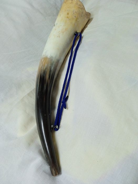 Чашка. Рог сувенир размеры 43 см, из натурального материала