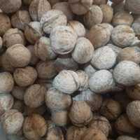 Грецкие орехи килограмм