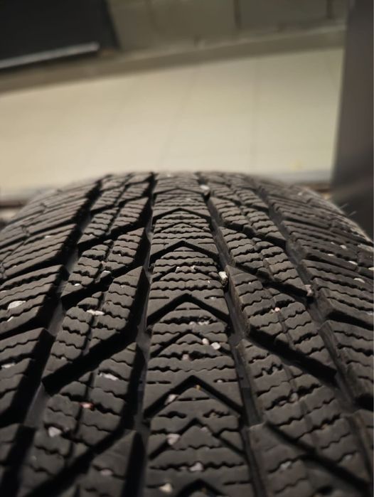 Зимние шины Nexen 205/55 R16