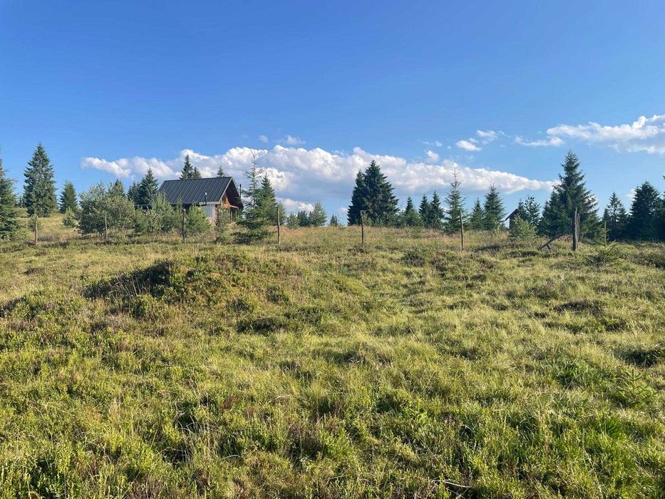 Teren de vanzare, 1000 mp, in zona Belis / Calatele Padure (jud. Cluj)