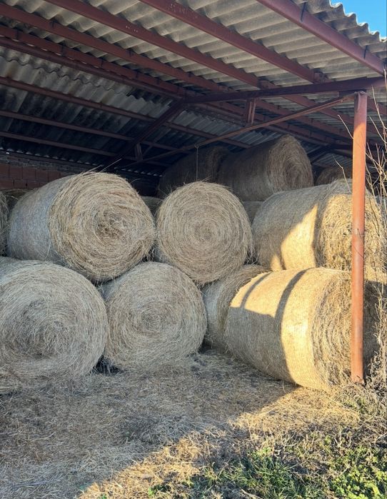 Рулонни бали сено