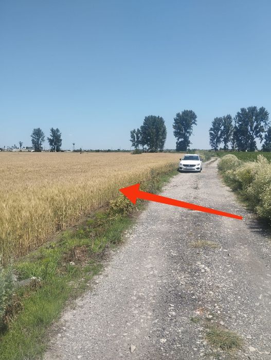 Teren 6500 m - Extravilan - Zona Premium Porc - 7 km de Focșani