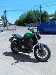 Benelli bn 302 (2016)