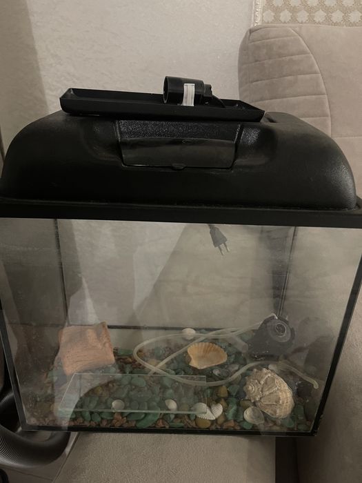 Аквариум для рыб