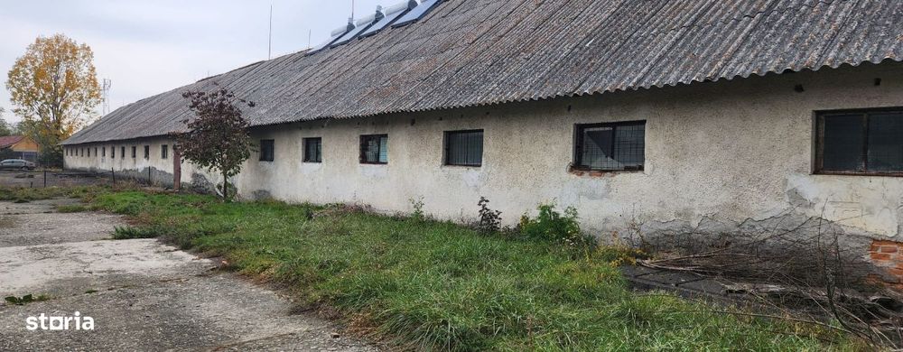 Depozit - cladire 1000 mp si teren 3416 mp, Budila!