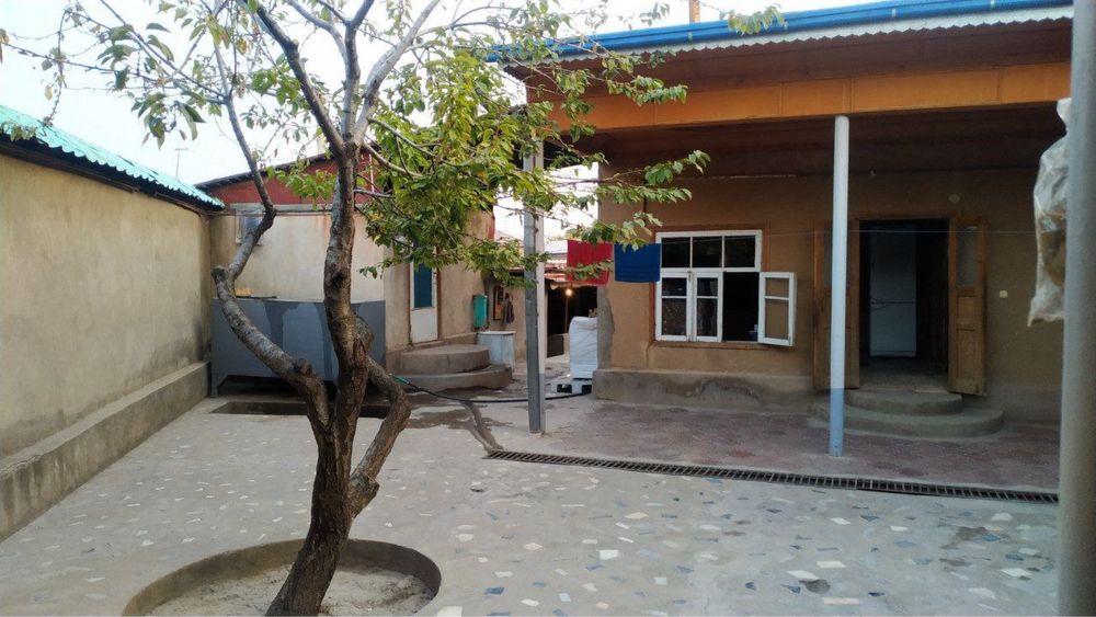 Srocha sotiladi 6 soʻtik Parkent sentrda