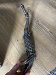 cric  lateral  harley davidson  custom