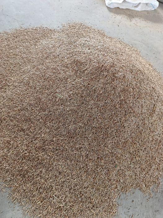 Sămânță Amestec Sparceta, Bromus, 3 feluri iarba