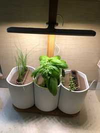 Sistem de crestere plante interior - Pret a Pousser Lilo Edition