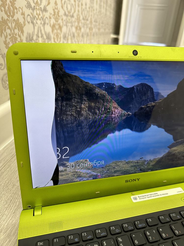 Ноутбук Sony VAIO VPCYB3Q1R зеленый