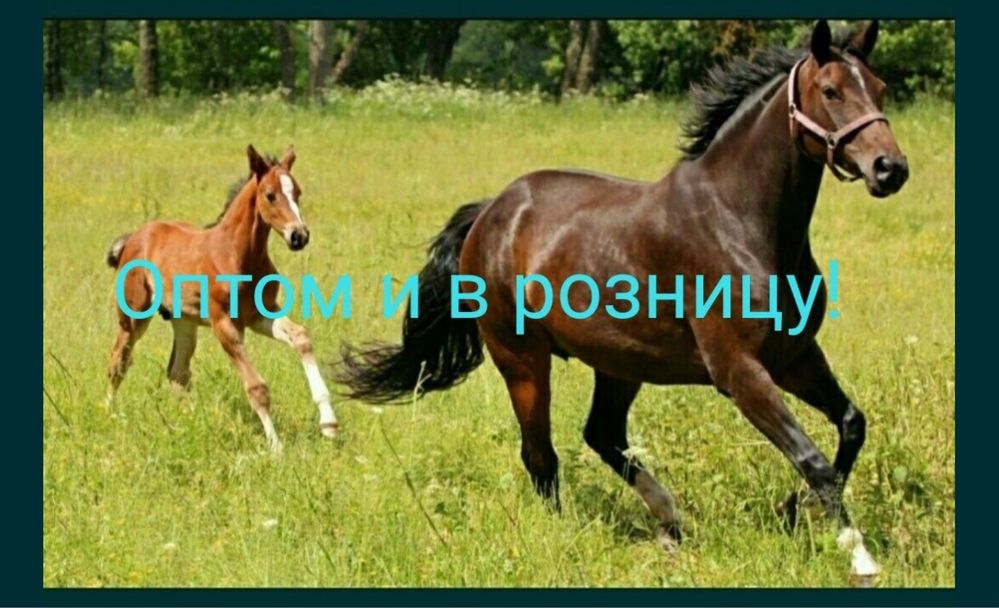 Қымыз, кымыз, саумал