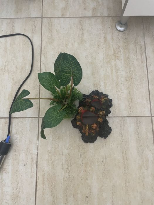 Avariu 60 de l vine cu tot ce ii trebuie