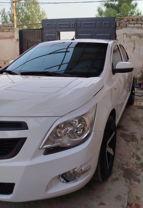 Kobalt navarot qilingan gazi bor 4 pok