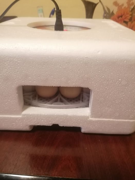 Incubator cu întoarcere automata