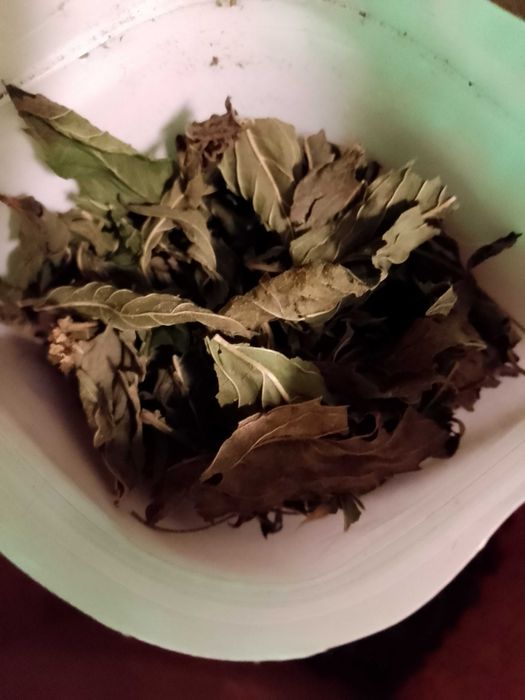 Menta DOAR FRUNZE , de gradina 200 gr.