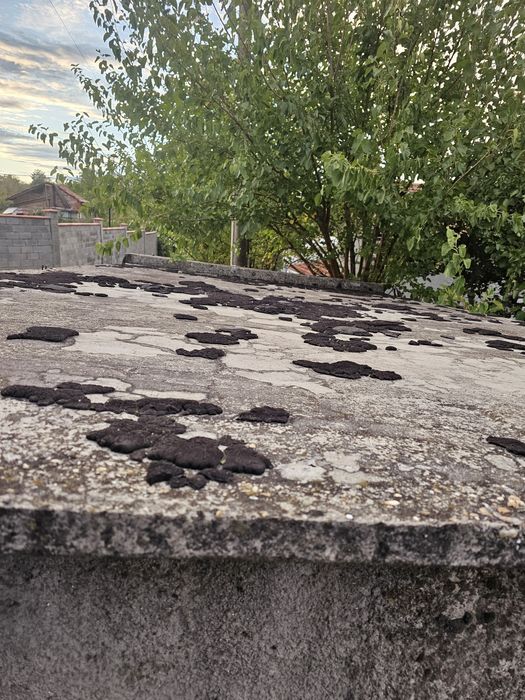 Продава се Гараж / Паркомясто в Русе, Център - 12 кв.м за 149 €/кв.м - Снимка #4