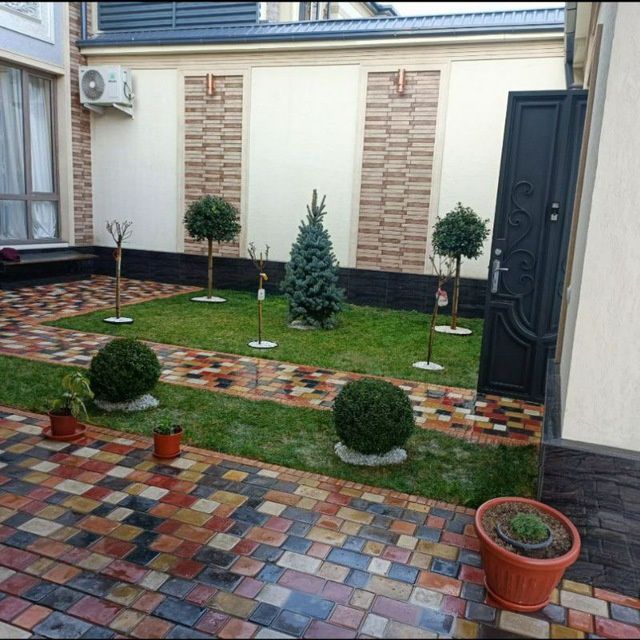 Archa ko‘chatlari xar xil mevali daraxtlar bor