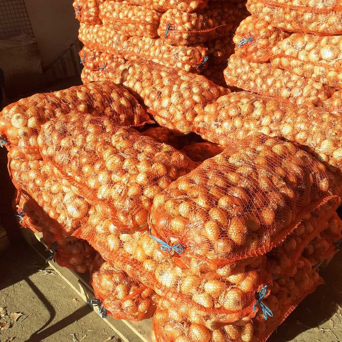 Ceapa plata stuttgart