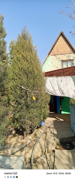 Продаётся дача 8 соток